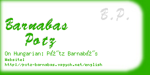 barnabas potz business card